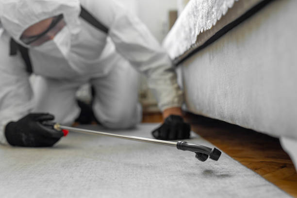 Professional Bed Bug Control technician working in Palm Beach, FL
