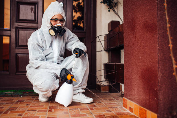 Reliable Bed Bug Control contractor in Palm Beach, FL by Nex Pest Control